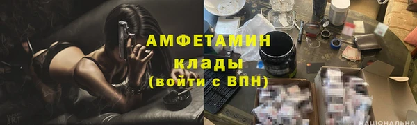 стафф Инта