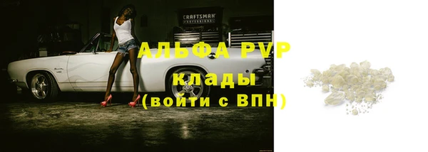 стафф Инта