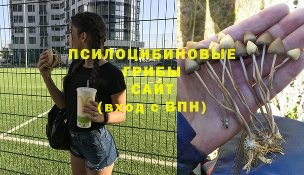 экстази Инсар