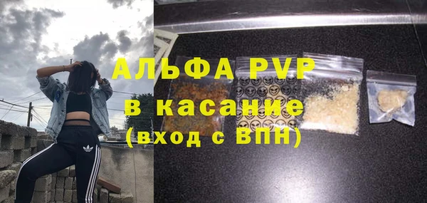 стафф Инта