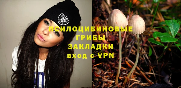 стафф Инта