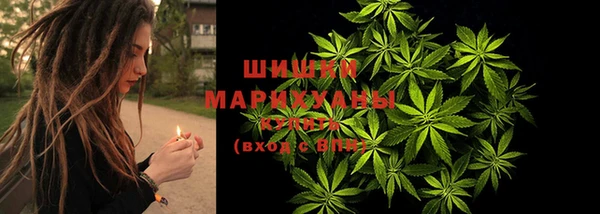 стафф Инта