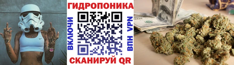 Купить закладки  Курчатов  Шишки марихуана White Widow 